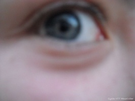 img 1237845925 128 lg