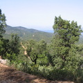 Roc d Azur 013